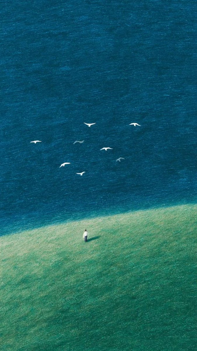 meursault tweet media