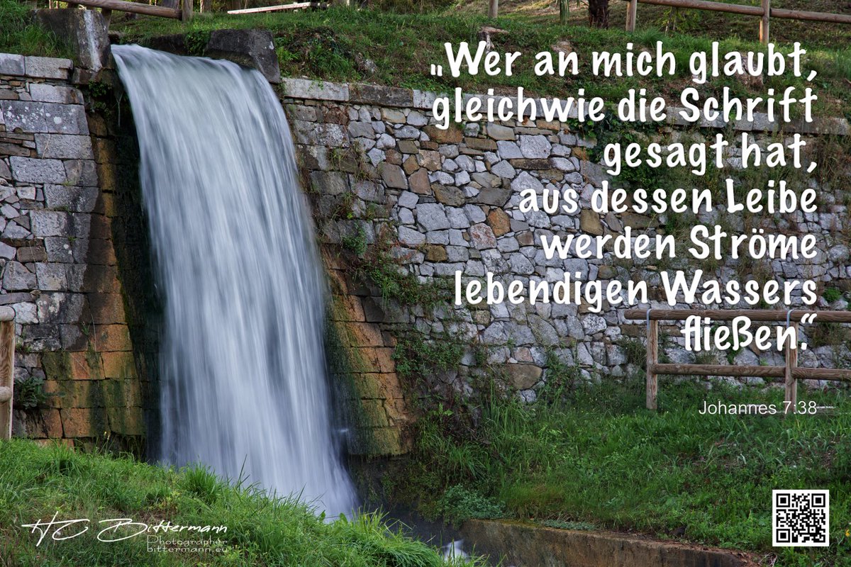 HC Bittermann 🕊️ tweet media