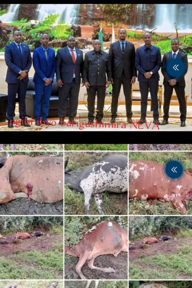 karinganire_Has tweet media