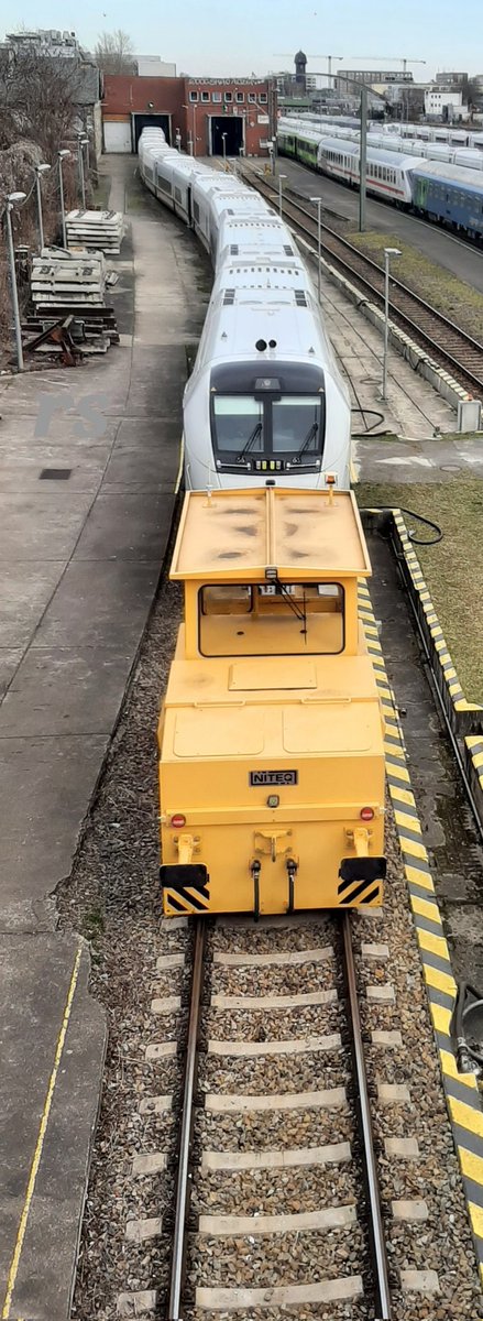 rotstern tweet media