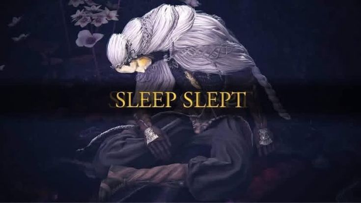 saki 🦋 tweet media