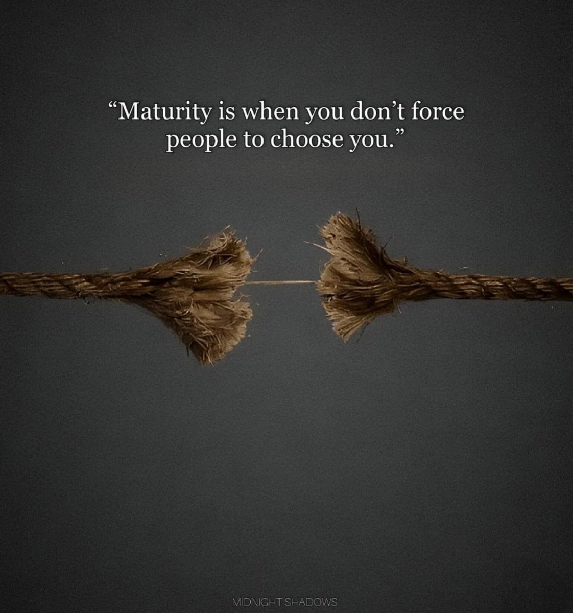 Mind Essentials tweet media