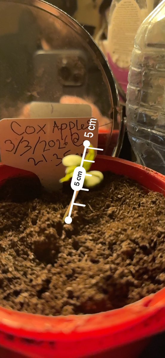 Snack Butty tweet media