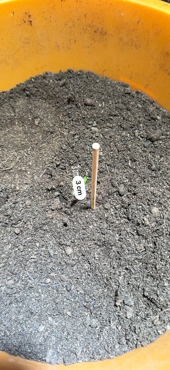 Snack Butty tweet media