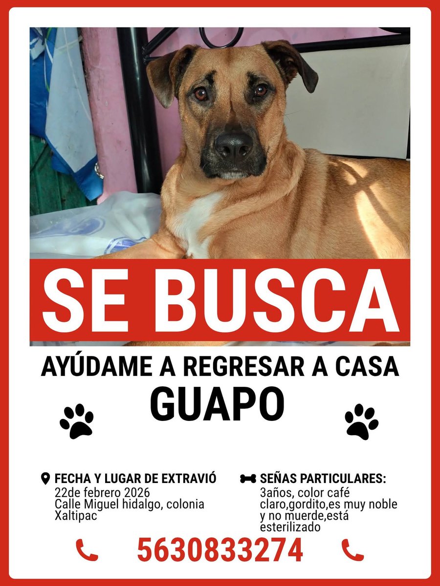 Abogado Animalista tweet media