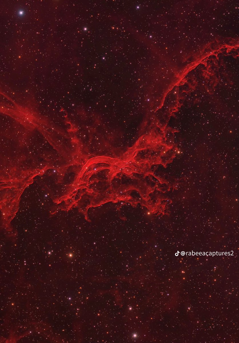 Melanie King tweet media