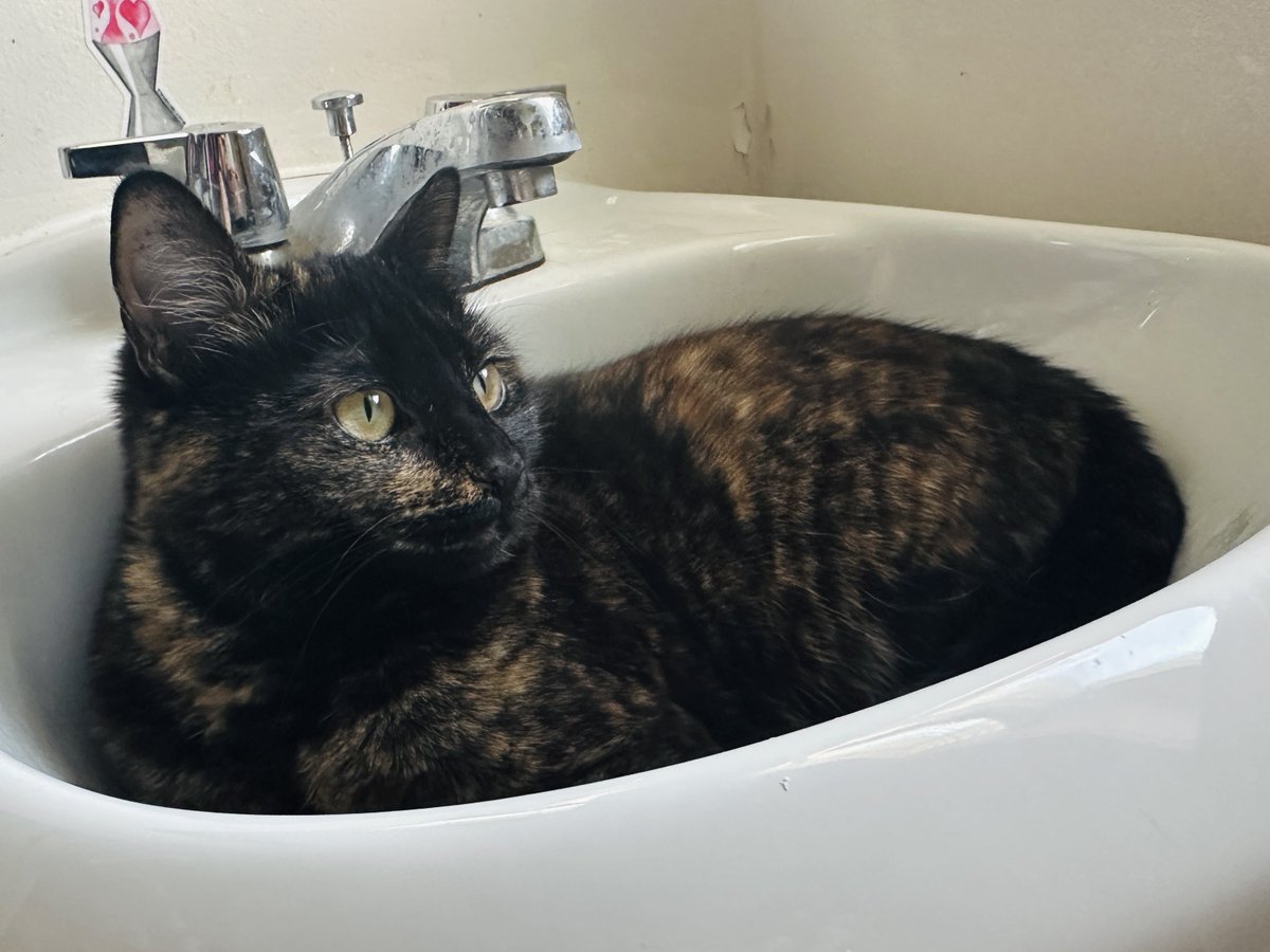 スラッグボックス tweet media