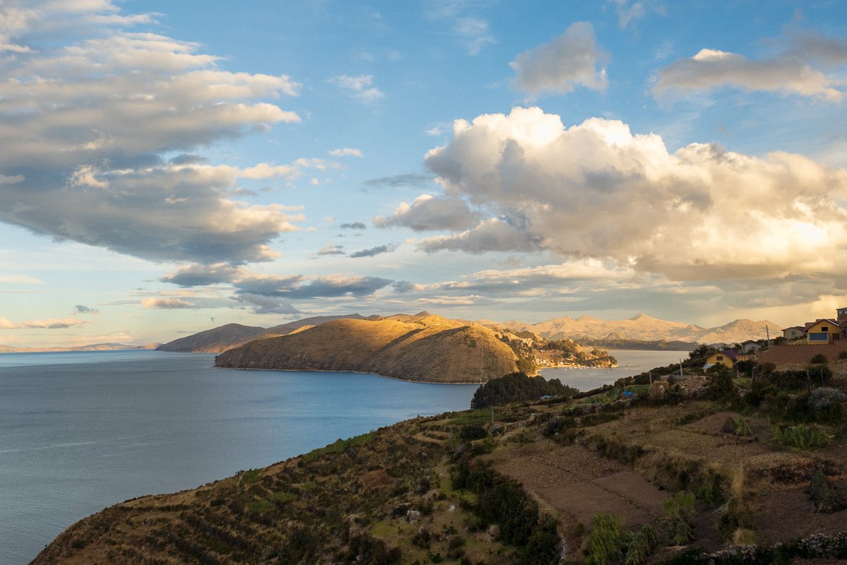 nomadic 🎞️ tweet media