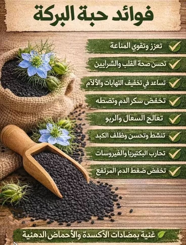 رحلات سياحية tweet media