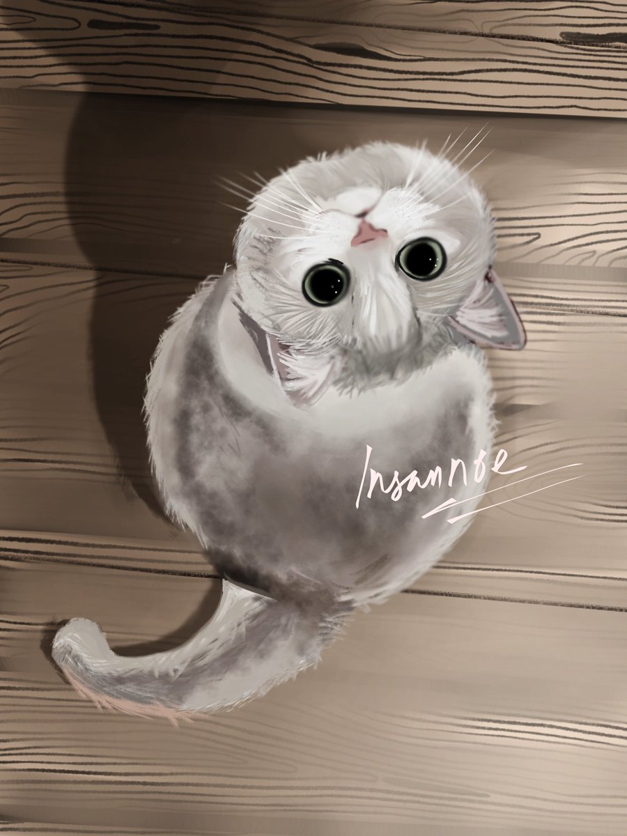 Teto | VGen Waitlist tweet media