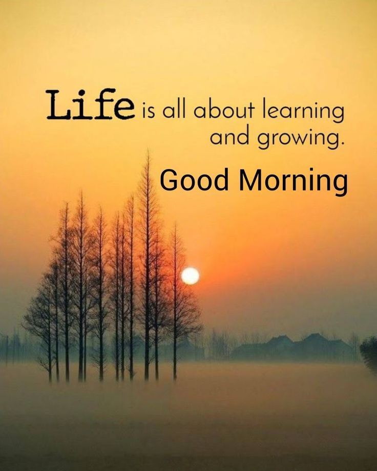 bremaonline's tweet image. Good morning 🌅

Every new day is a fresh lesson learn, grow, and become better than yesterday. 

Keep showing up, your future is watching. 

#GoodMorning  #KeepLearning #DailyMotivation
