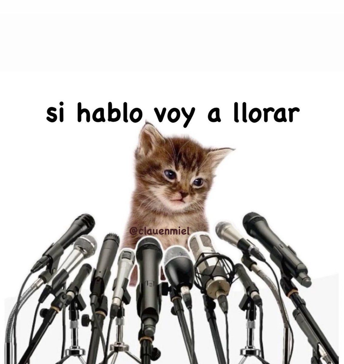 gato mandarino𖦹 tweet media