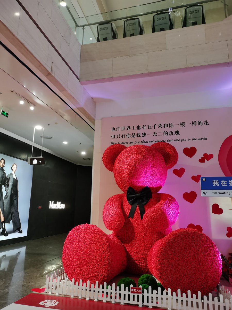 Lynn Kim tweet media