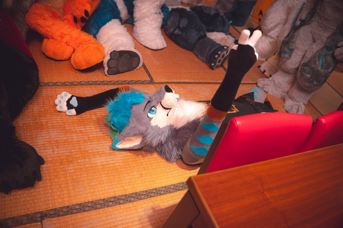 山松 MountainPine 🦊🐿️ ⏭️ Thaitails tweet media