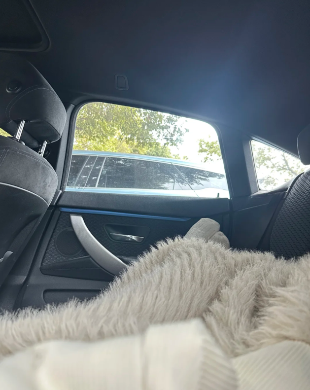 台中小樂 tweet media