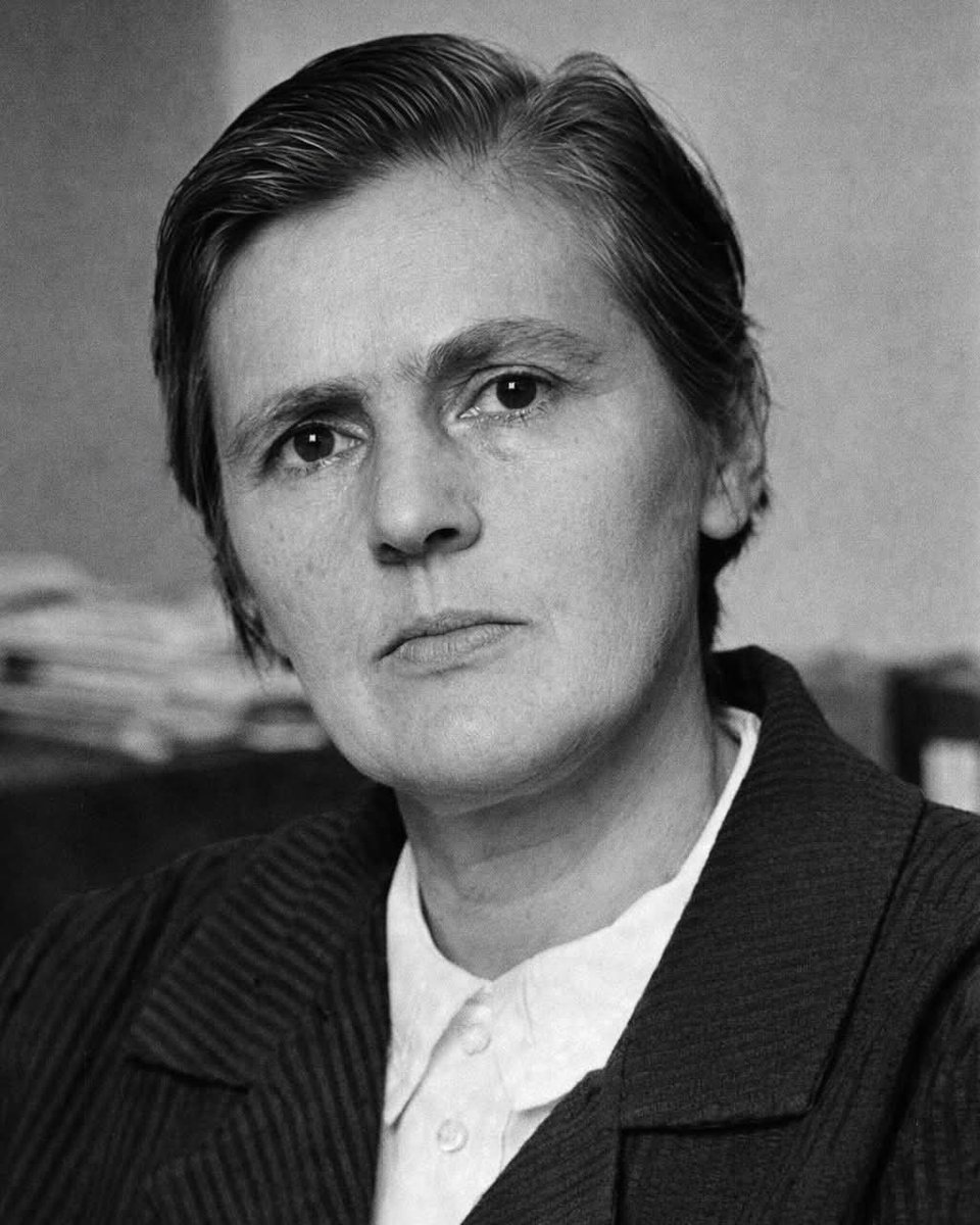 Archaeo - Histories tweet media