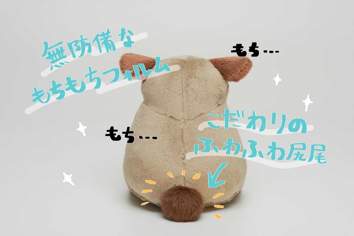 CAMPFIRE Creation(キャンプファイヤー クリエーション)公式 tweet media