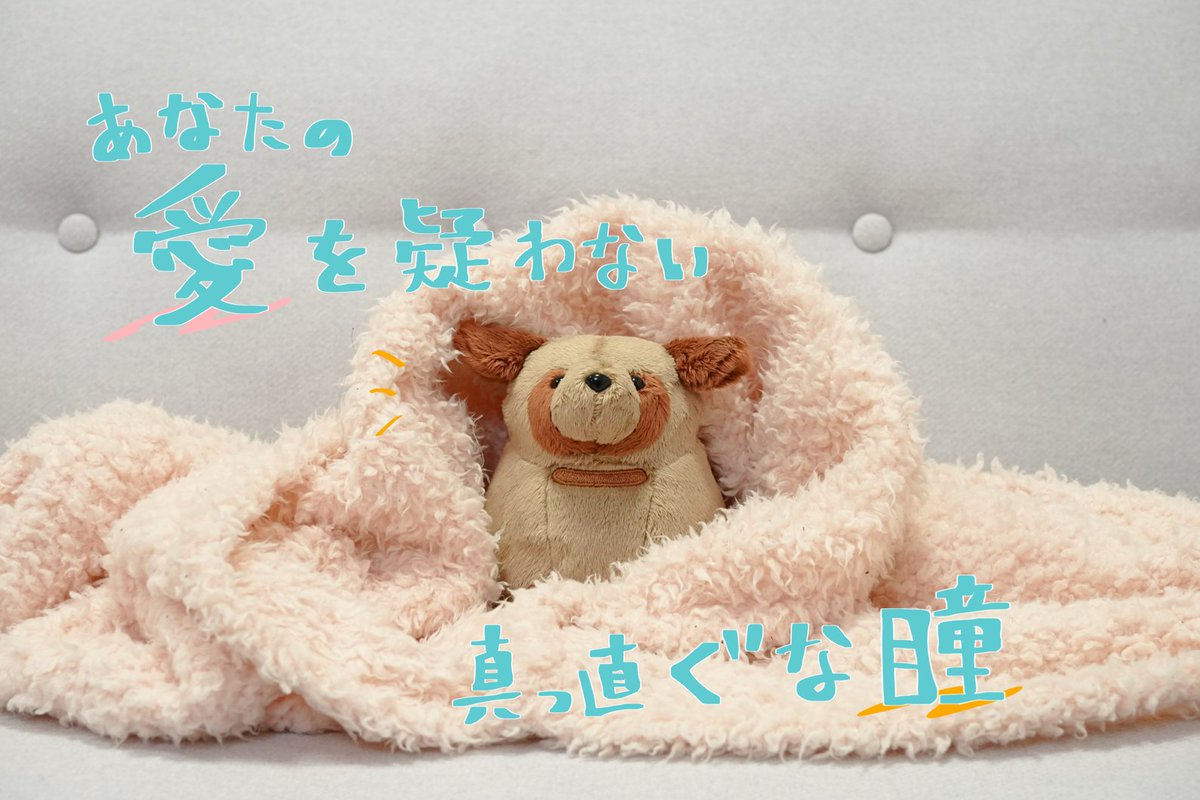 CAMPFIRE Creation(キャンプファイヤー クリエーション)公式 tweet media