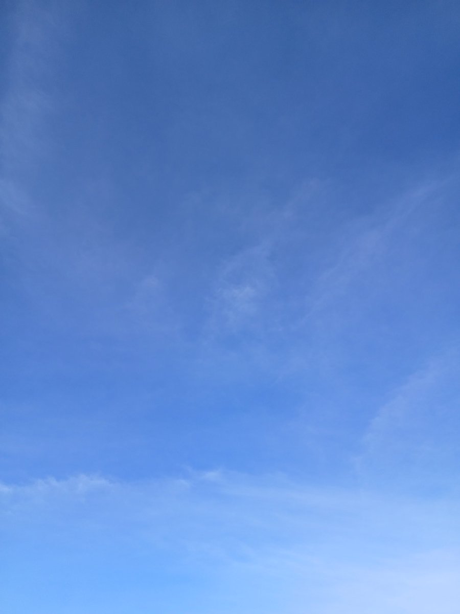 Feycheche tweet media