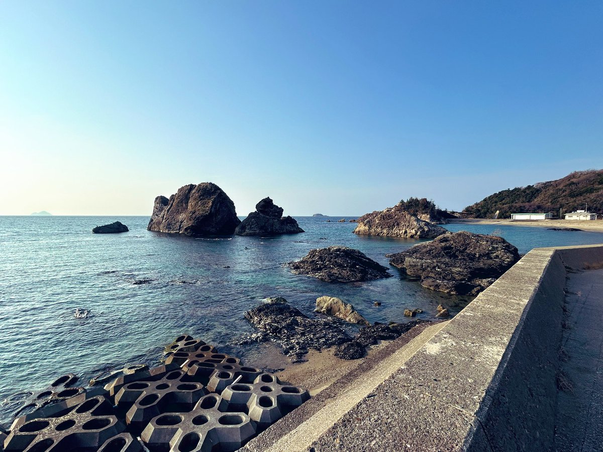 の〜ん茶 tweet media