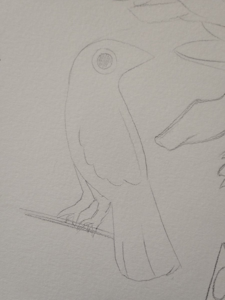 Desitos 🇺🇦 tweet media