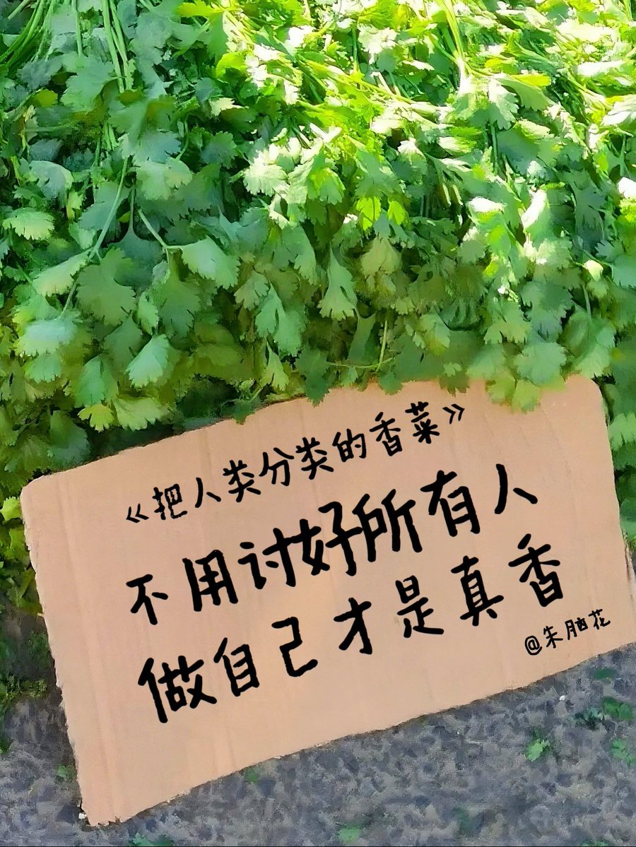 星星泡饭-v-(互fo超快版) tweet media