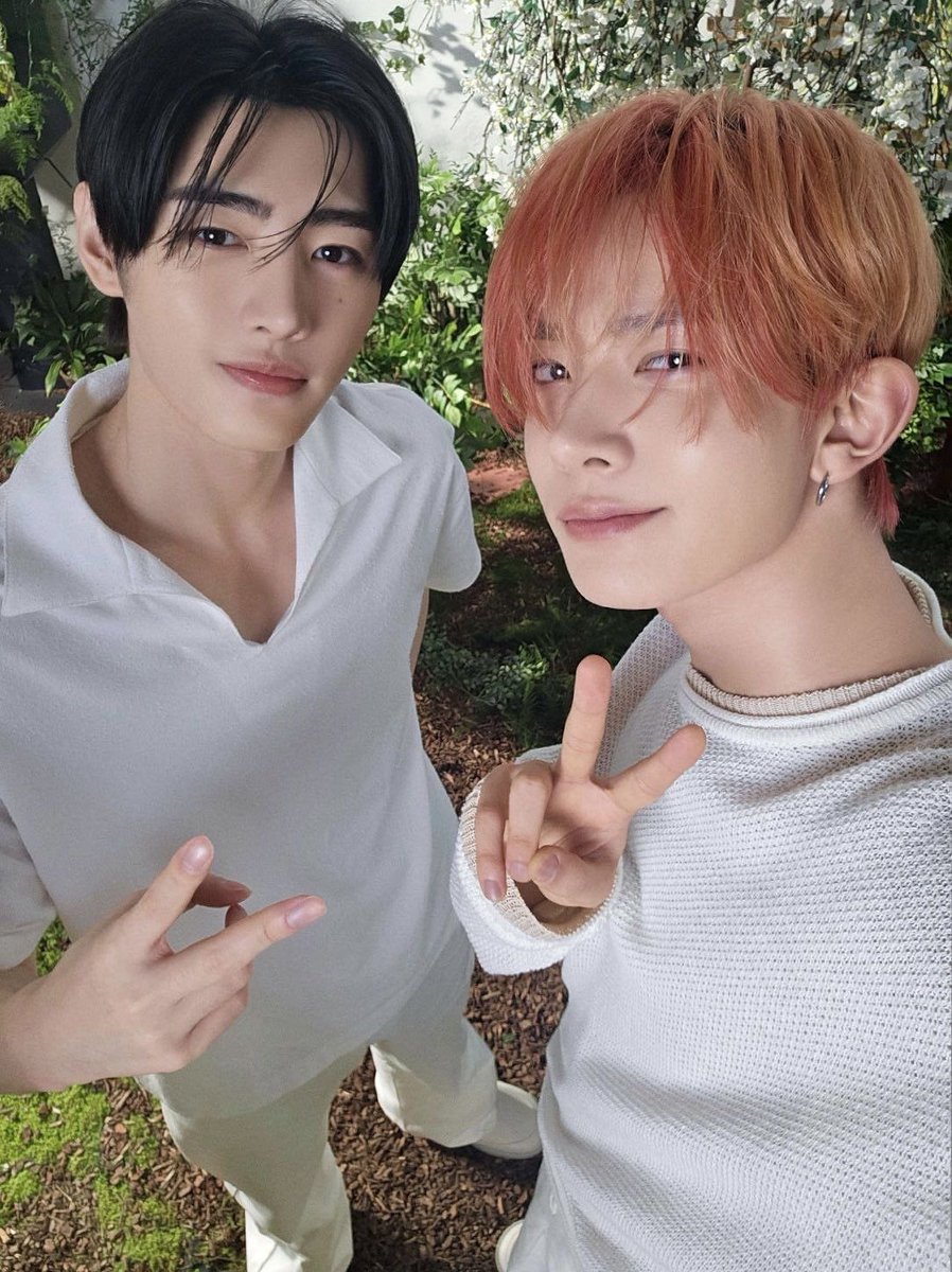 nana ୨ৎ ENHYPEN IS 7 tweet media