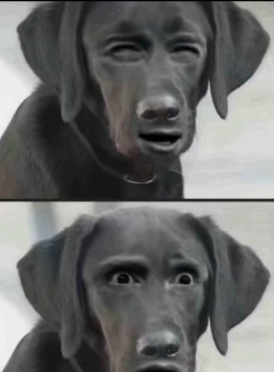 zozozozozzz tweet media