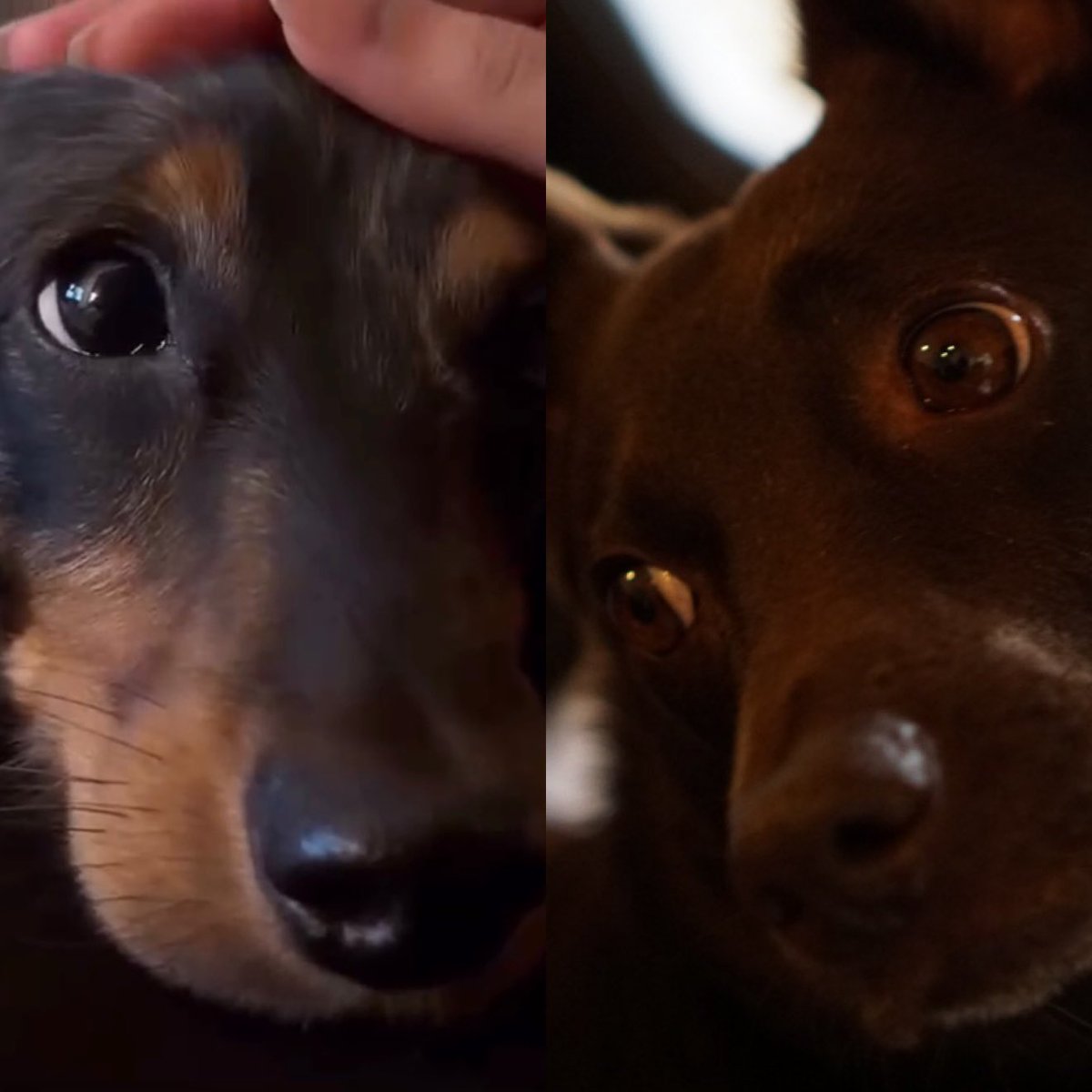 チャムもん tweet media