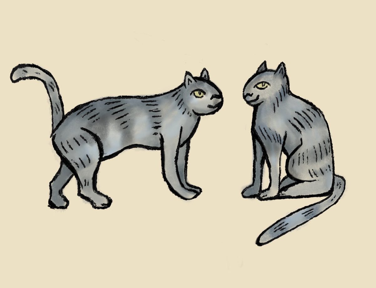 vesper ✨ tweet media