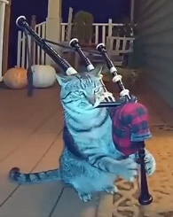 Chunky Buttons tweet media