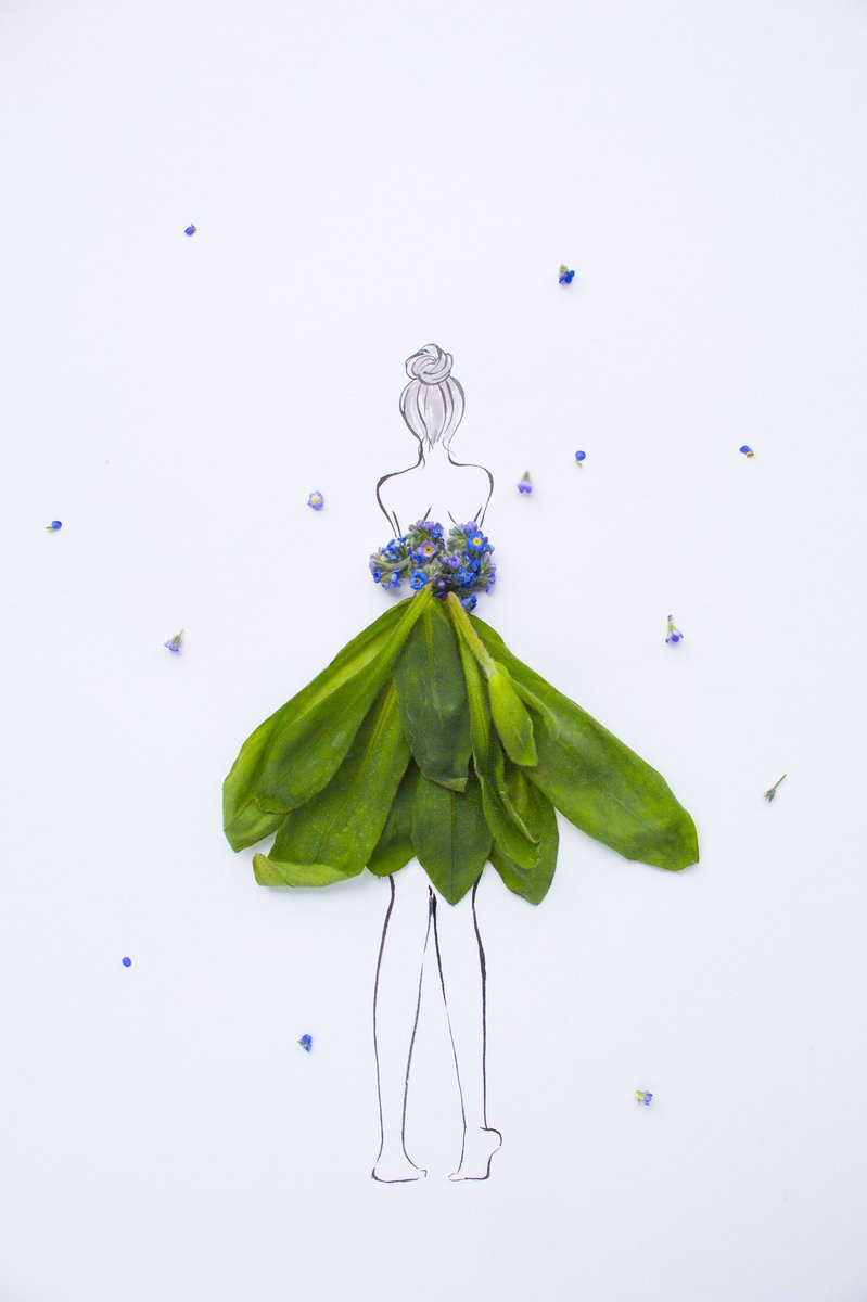 はな言葉🌷葉菜桜花子🌷新刊発売 tweet media