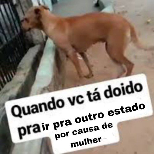 aquela amiga tweet media