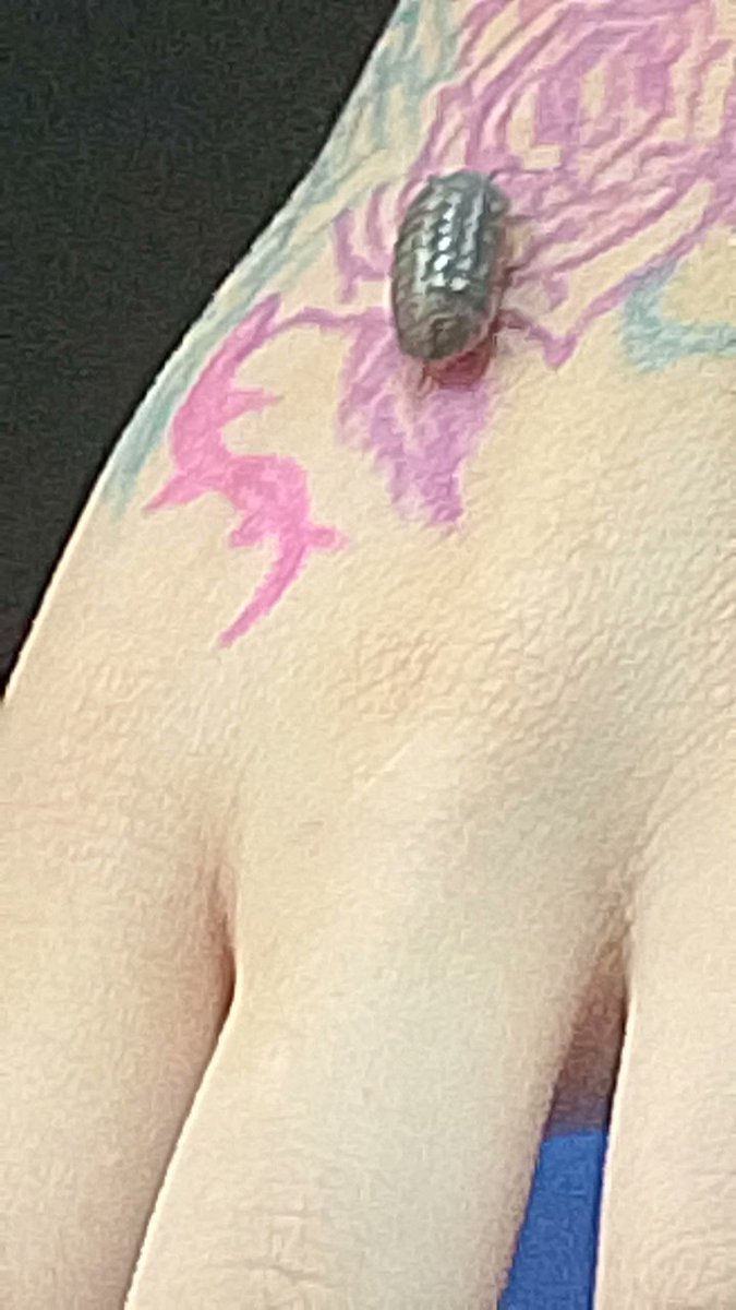 𖣠⚛︎noriko⚛︎𖣠 tweet media