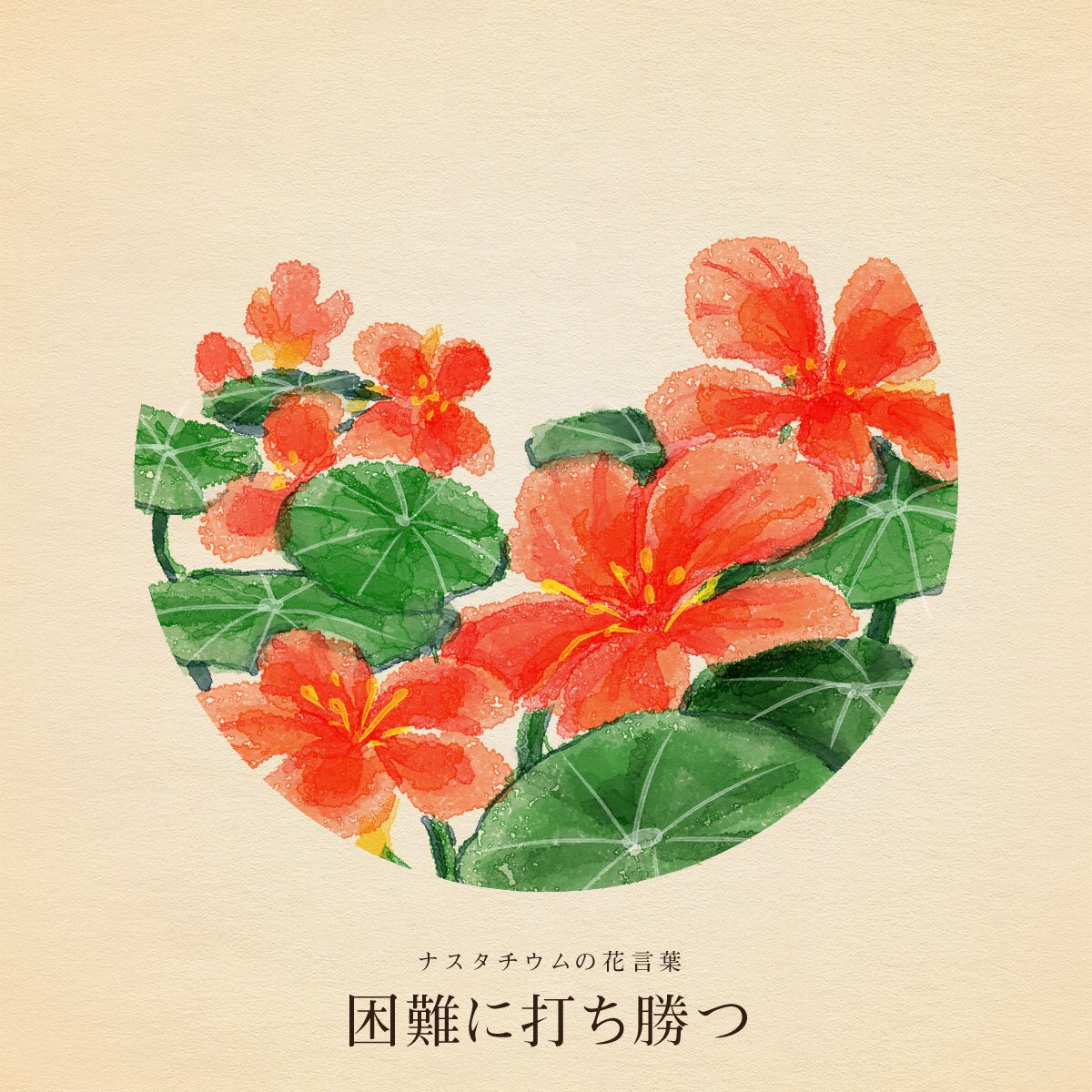 はな言葉🌷葉菜桜花子🌷新刊発売 tweet media