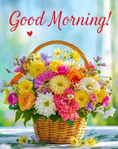 Mah Noor tweet media