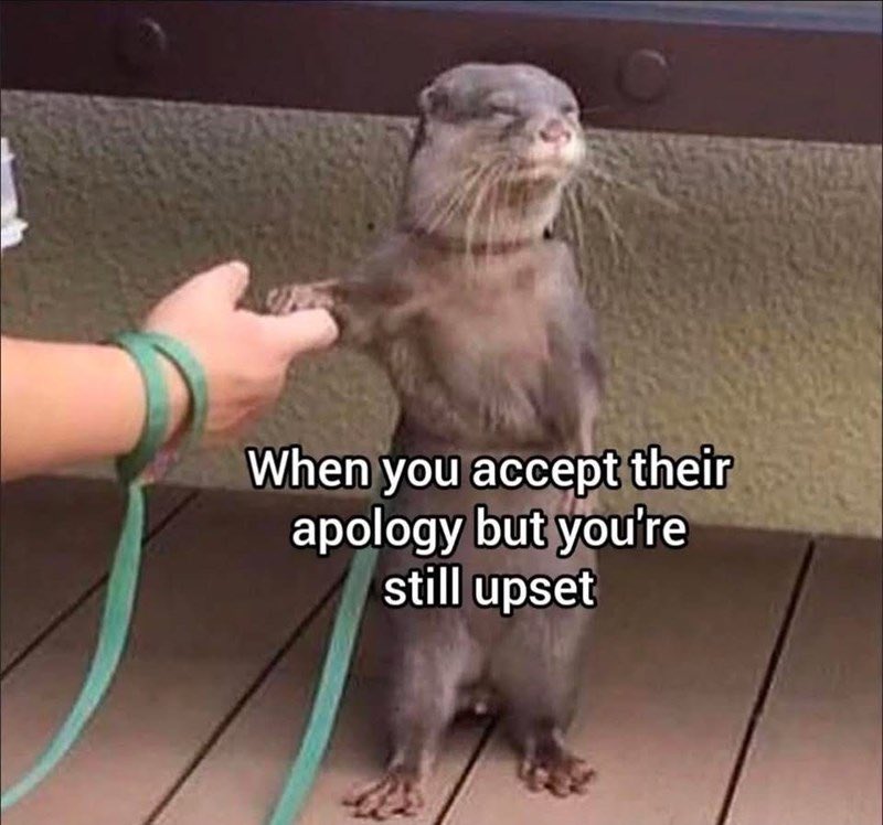 ✨Ms_Ashhole ✨ tweet media