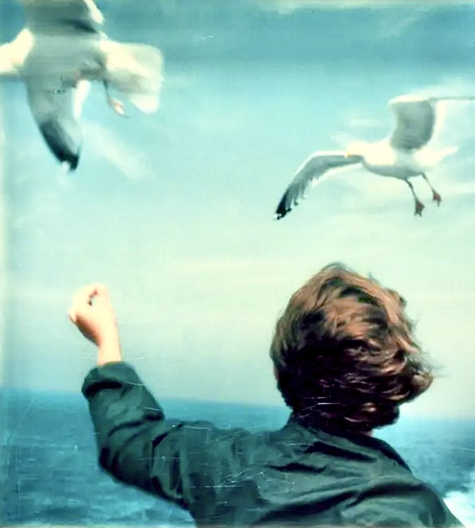 💫AitheriousOne1 tweet media