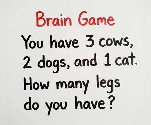 Crypto Solutions 🕊️ tweet media