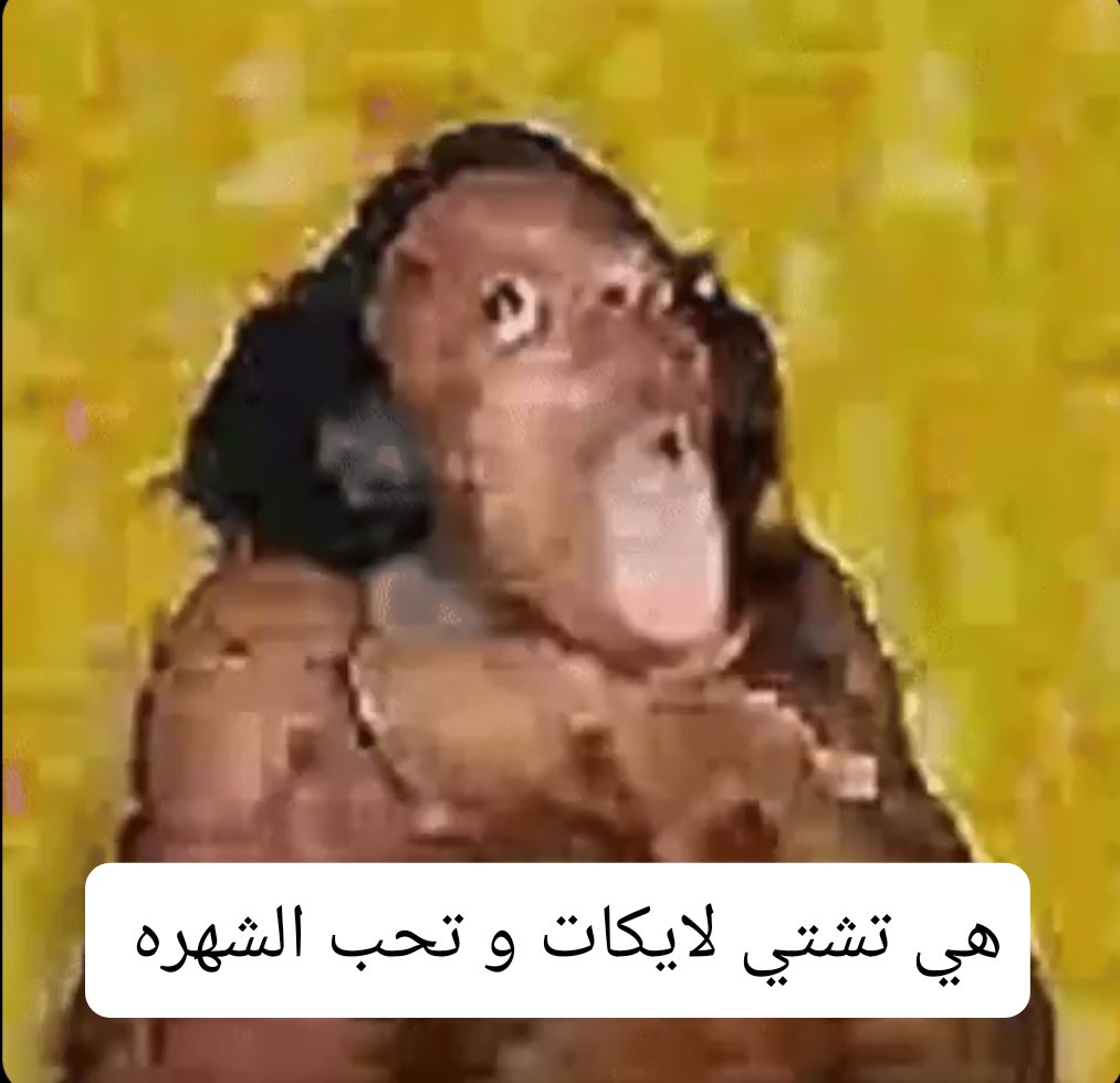 Fukunaga Y tweet media