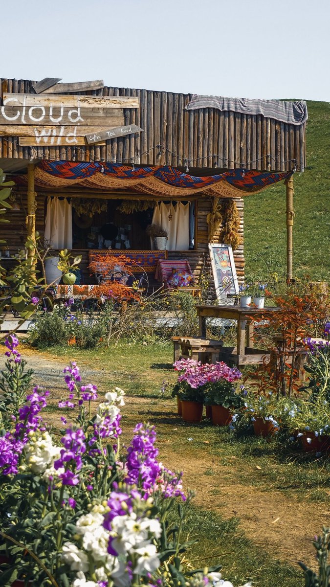 voiceofthecanal's tweet image. Sip nature. Taste tranquility. ☕🌿 CloudWild at Biyun Garden—where every cup comes with a view.
©️复古汽水
#coffeeshop #cafe #chillvibe #fyp #jiaxing