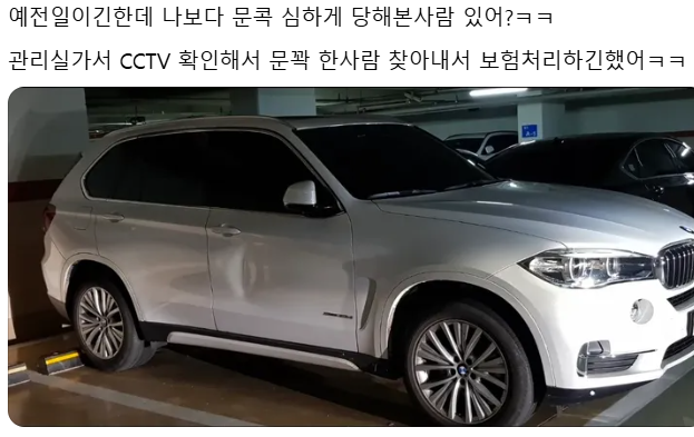 라쿤 리서치 tweet media