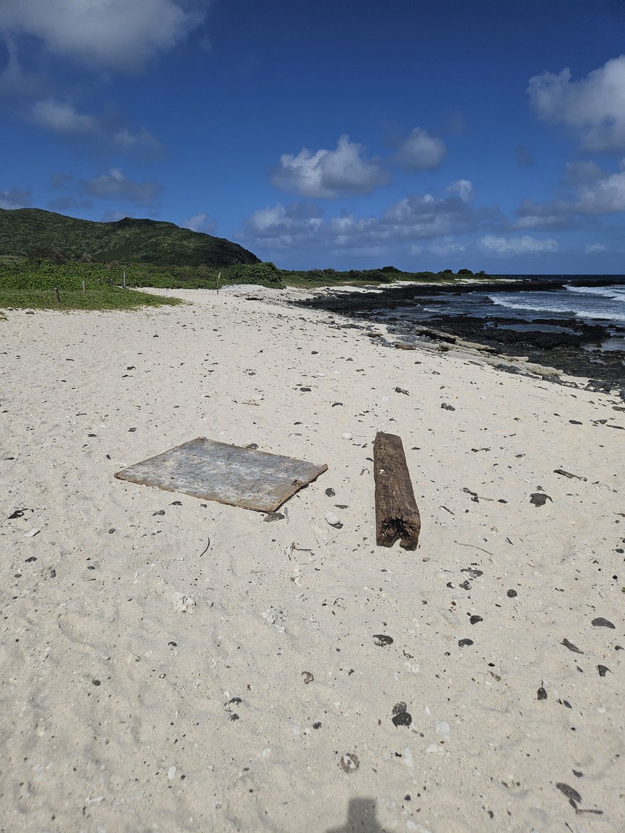 808cleanups tweet media