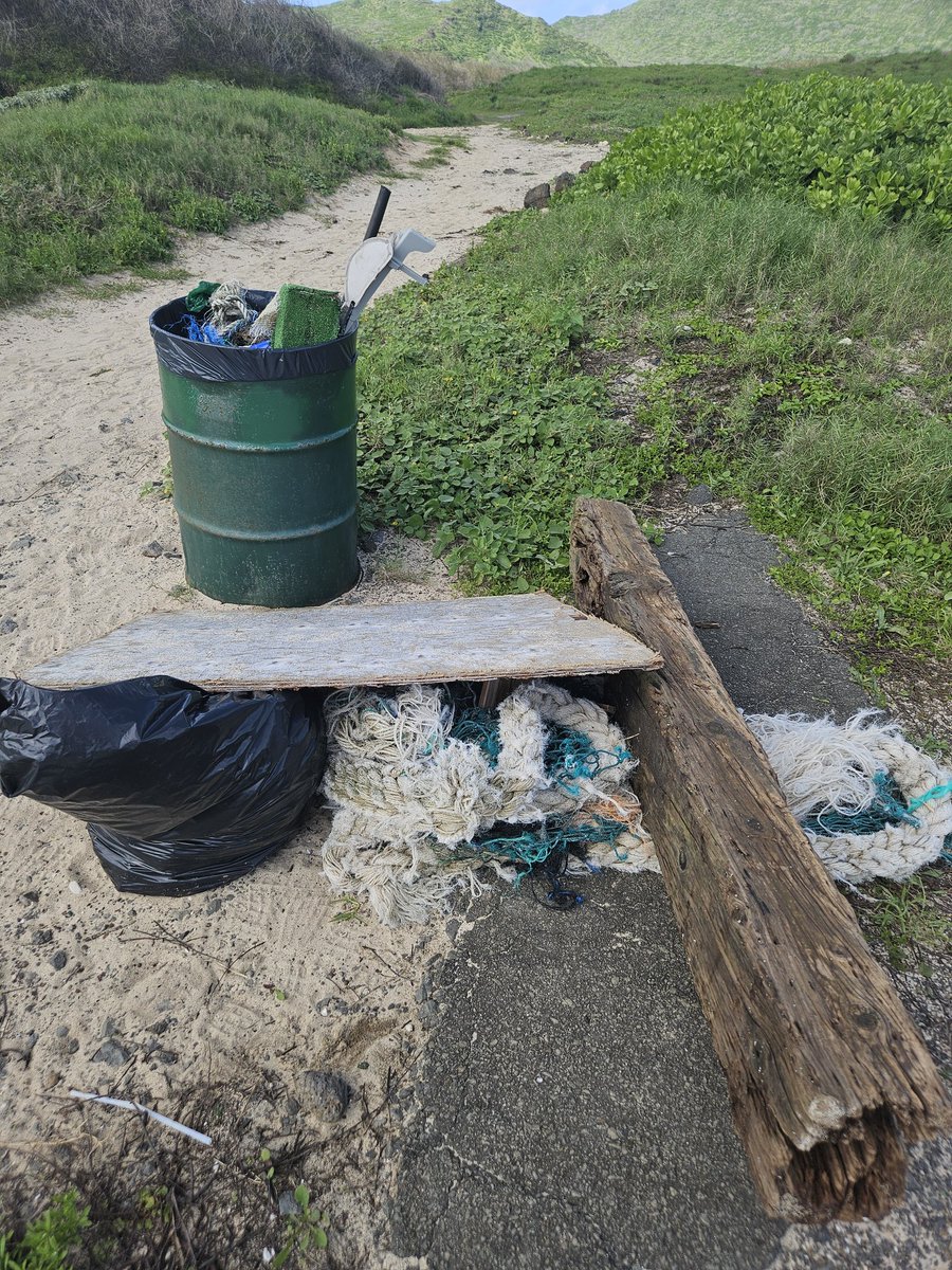 808cleanups tweet media