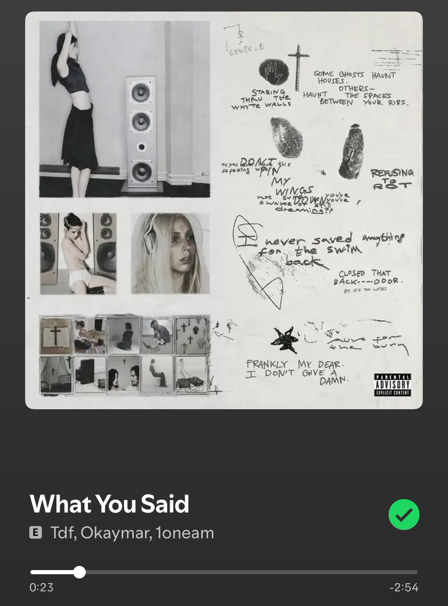 Amurmaple tweet media