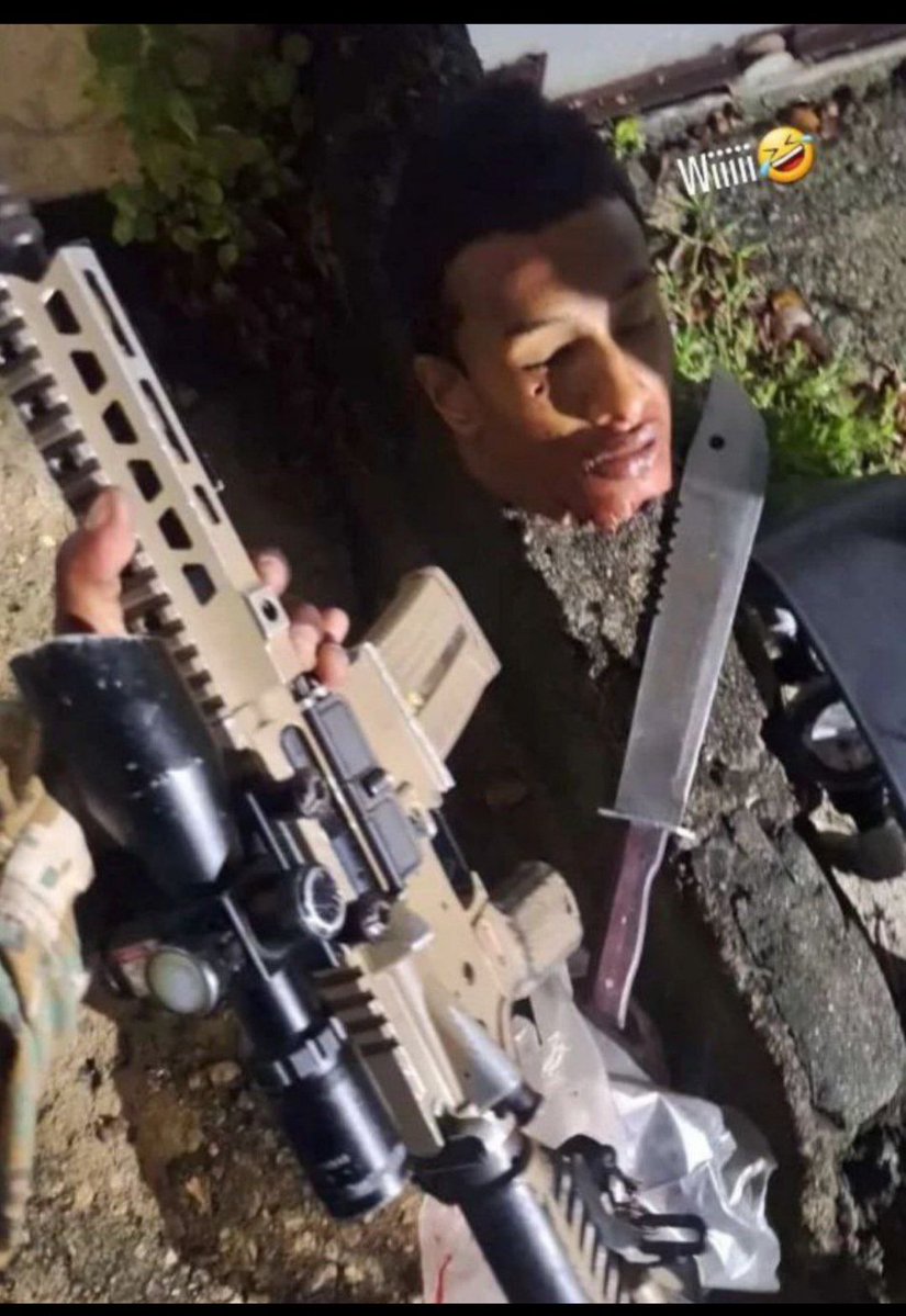 Devorador de Bolas tweet media