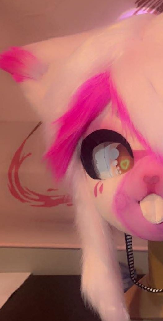 Neko Blossom♡🔜TFF tweet media