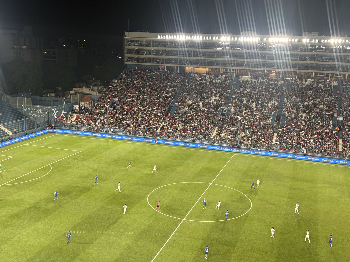 Tano Bolso tweet media