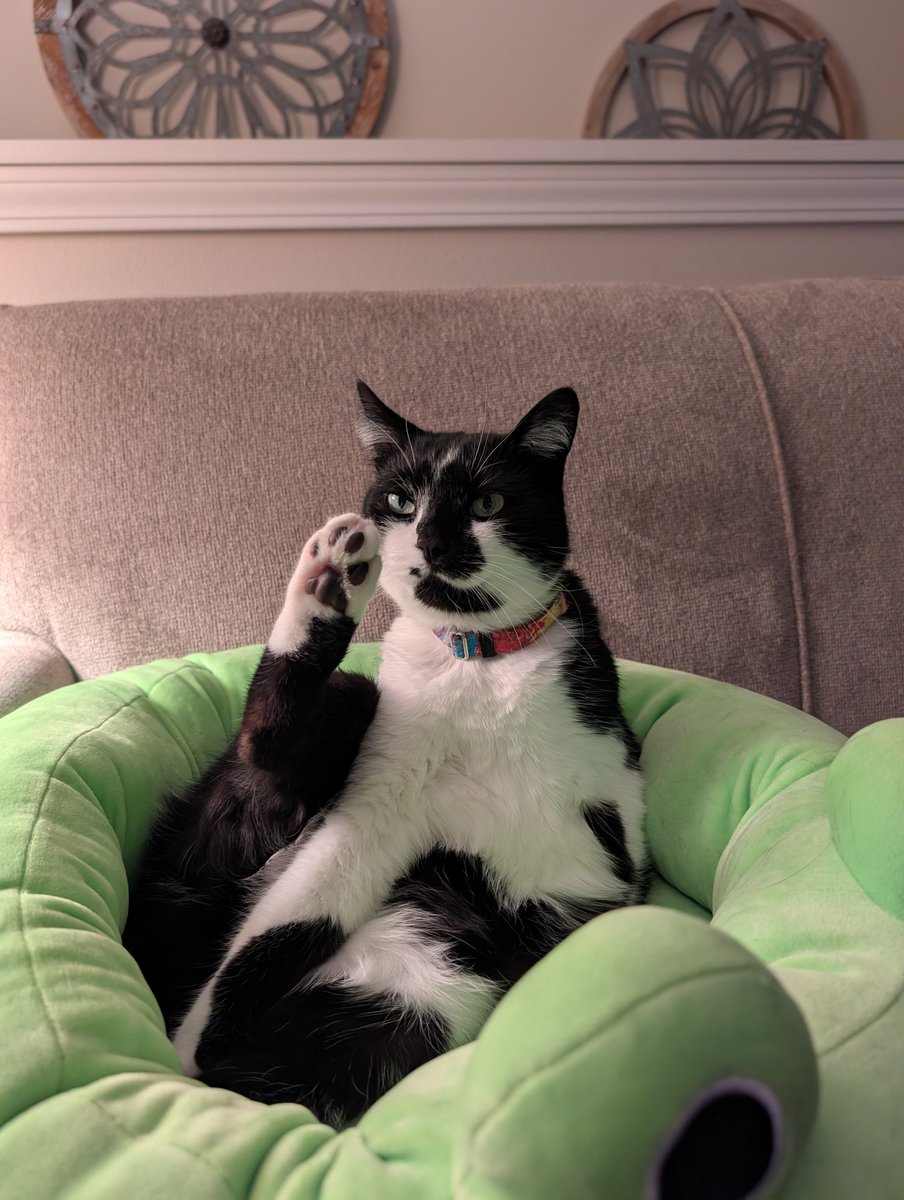 Speakz🌂🎩🏹📗🚲♩є(･◇･｡)э tweet media