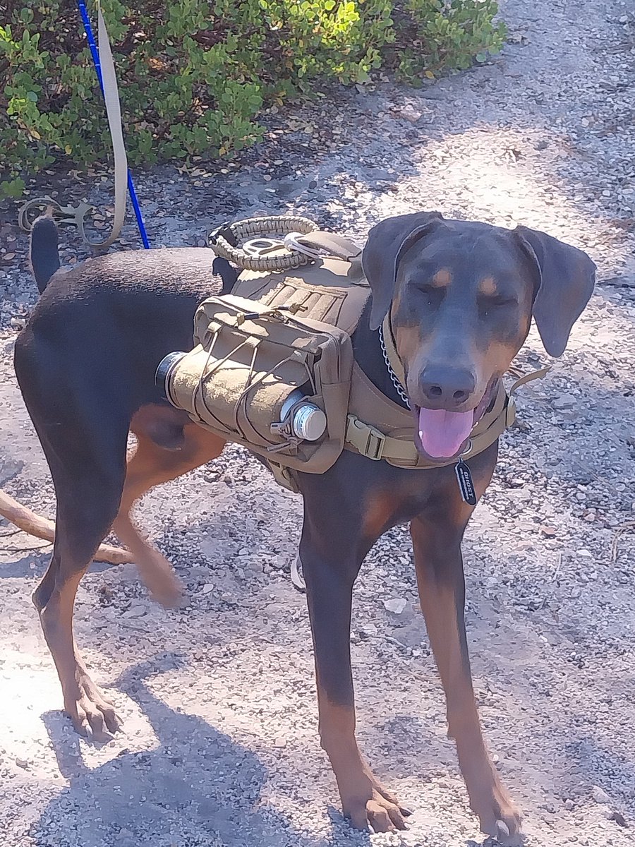 Cracker501 tweet media